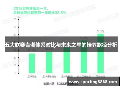 五大联赛青训体系对比与未来之星的培养路径分析